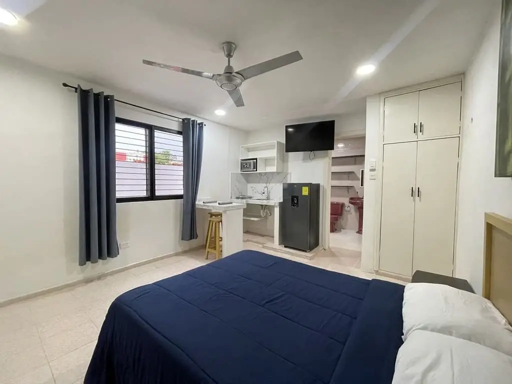 Departamento en renta en Vista Alegre 1 Recámaras — foto 4