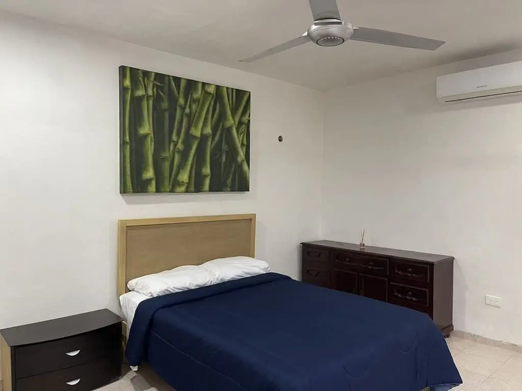 Departamento en renta en Vista Alegre 1 Recámaras — foto 8