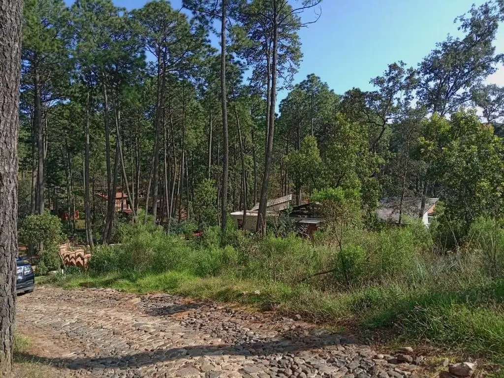 Se vende Terreno en Bosques de la Cañada Tapalpa