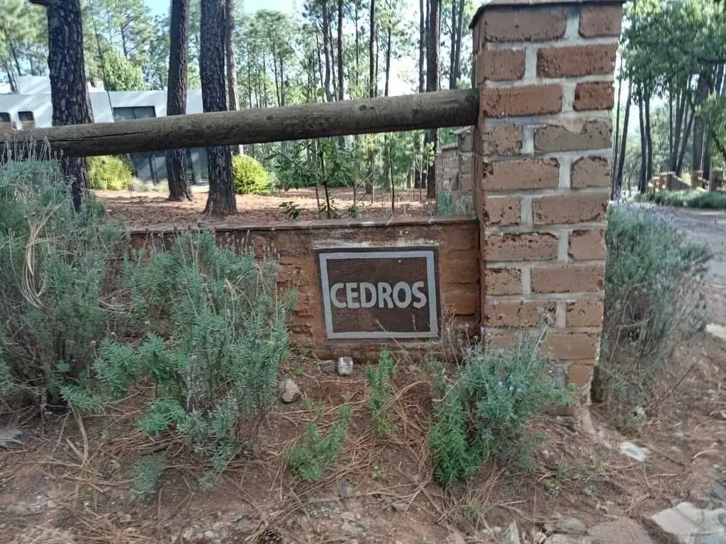 Se vende Terreno en Bosques de la Cañada Tapalpa — foto 2