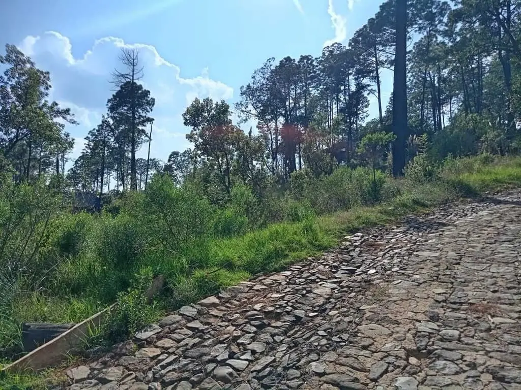 Se vende Terreno en Bosques de la Cañada Tapalpa — foto 3