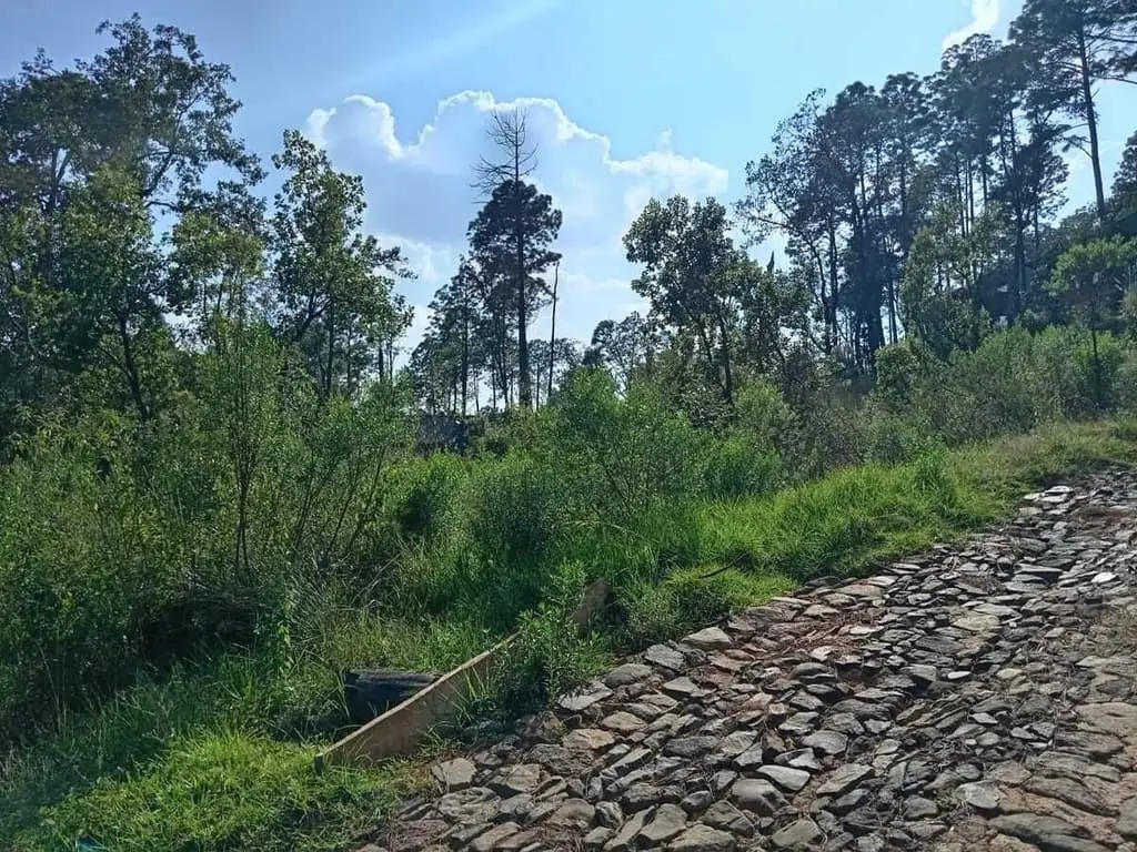Se vende Terreno en Bosques de la Cañada Tapalpa — foto 4