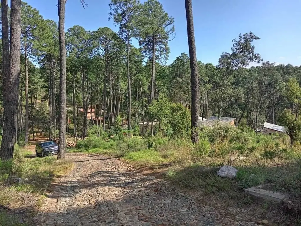 Se vende Terreno en Bosques de la Cañada Tapalpa — foto 6
