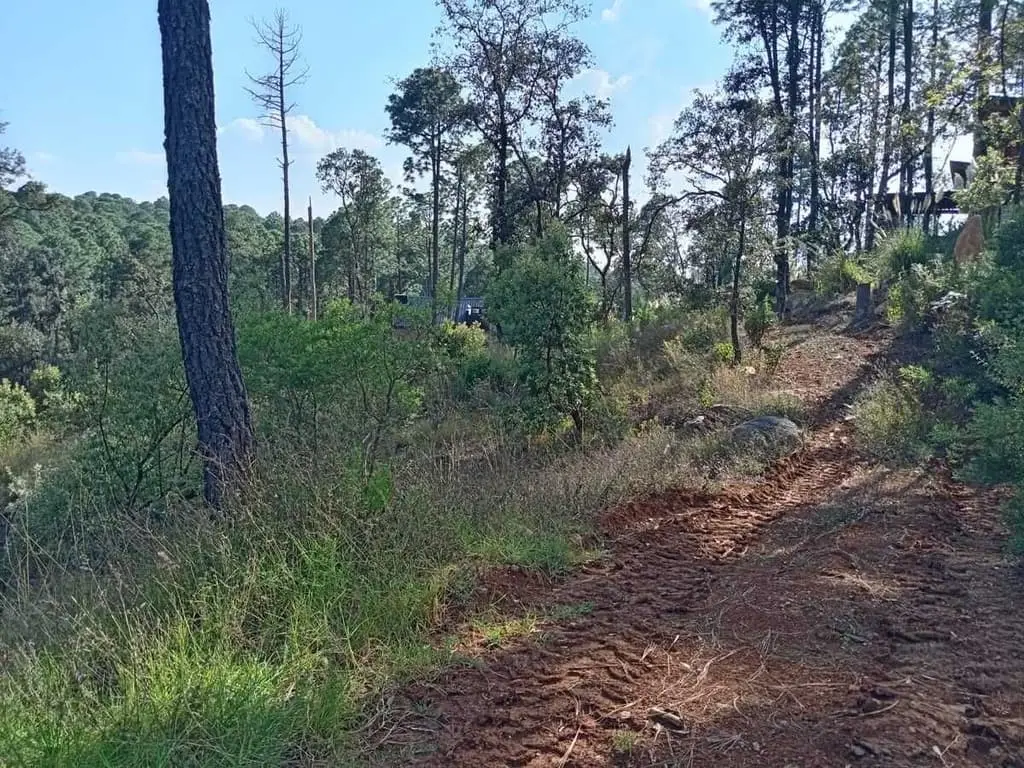 Se vende Terreno en Bosques de la Cañada Tapalpa — foto 7