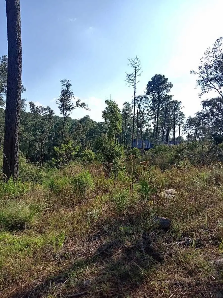 Se vende Terreno en Bosques de la Cañada Tapalpa — foto 8