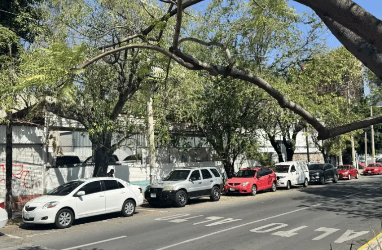Terreno Bardado en Renta en Av Chapultepec — foto 11
