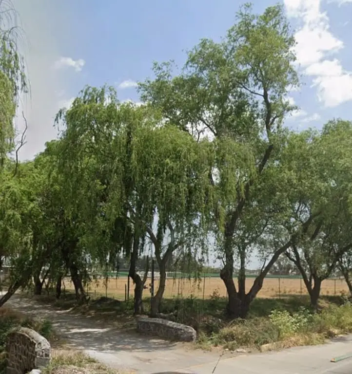 Terreno en Venta en Metepec – Excelente Oportunidad de Inversión — foto 3