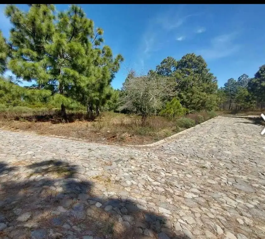 Terreno Venta Real de Encinos Tapalpa — foto 4