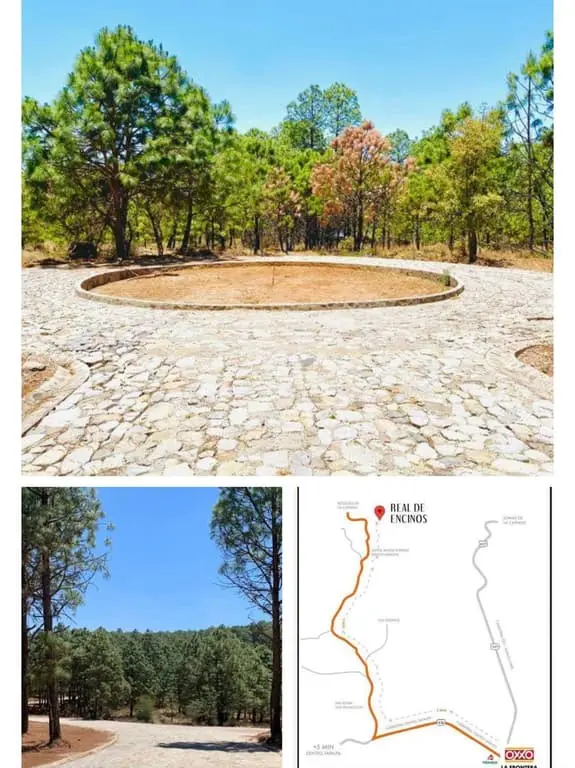 Terreno Venta Real de Encinos Tapalpa — foto 6