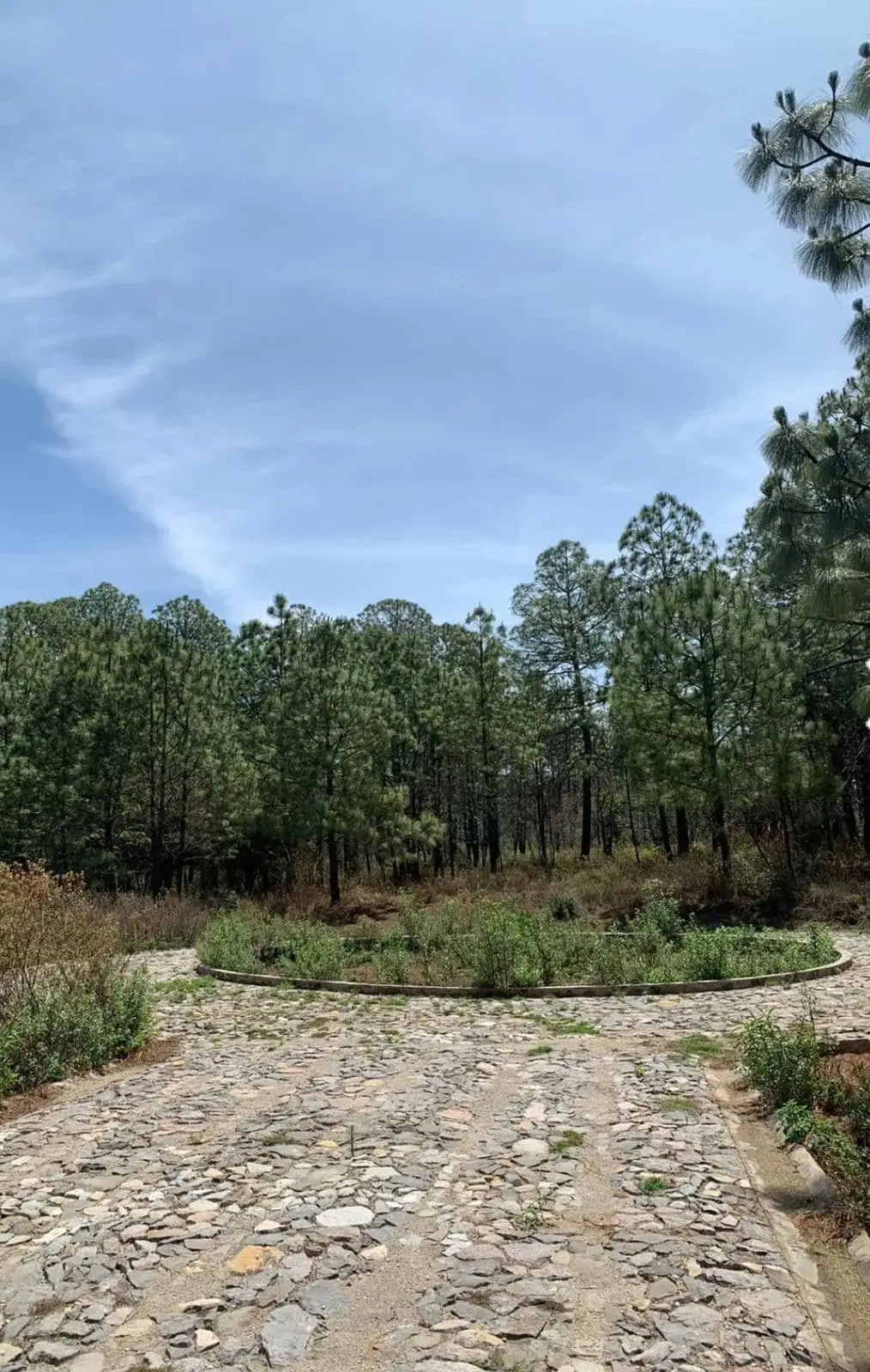 Terreno Venta Real de Encinos Tapalpa — foto 7