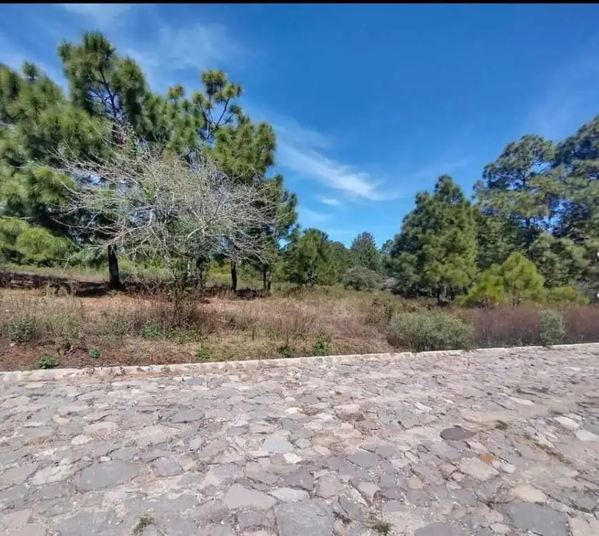 Terreno Venta Real de Encinos Tapalpa — foto 8