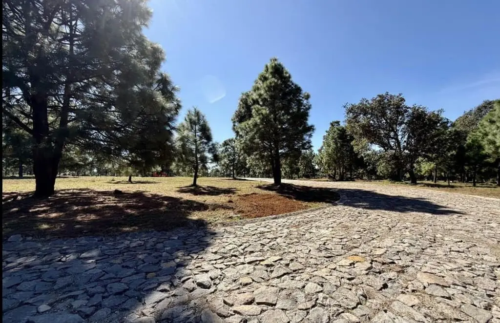 Terreno Venta Real de Encinos Tapalpa — foto 9
