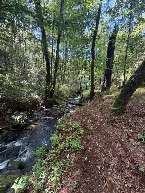 Terreno en venta en Cerro Gordo