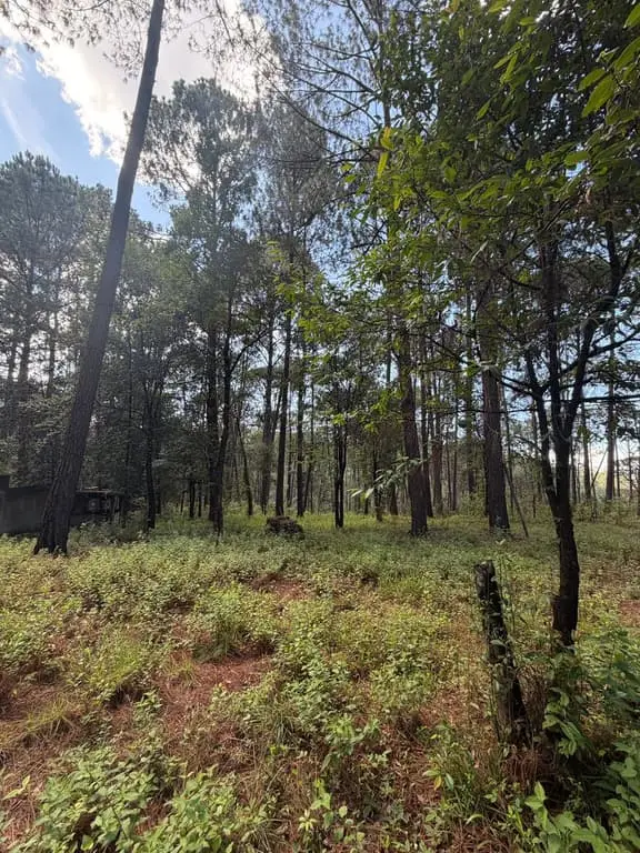 Terreno en venta en Cerro Gordo — foto 2