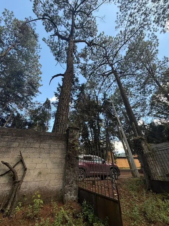 Terreno en venta en Cerro Gordo — foto 10