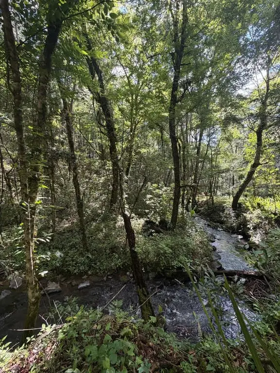 Terreno en venta en Cerro Gordo — foto 11