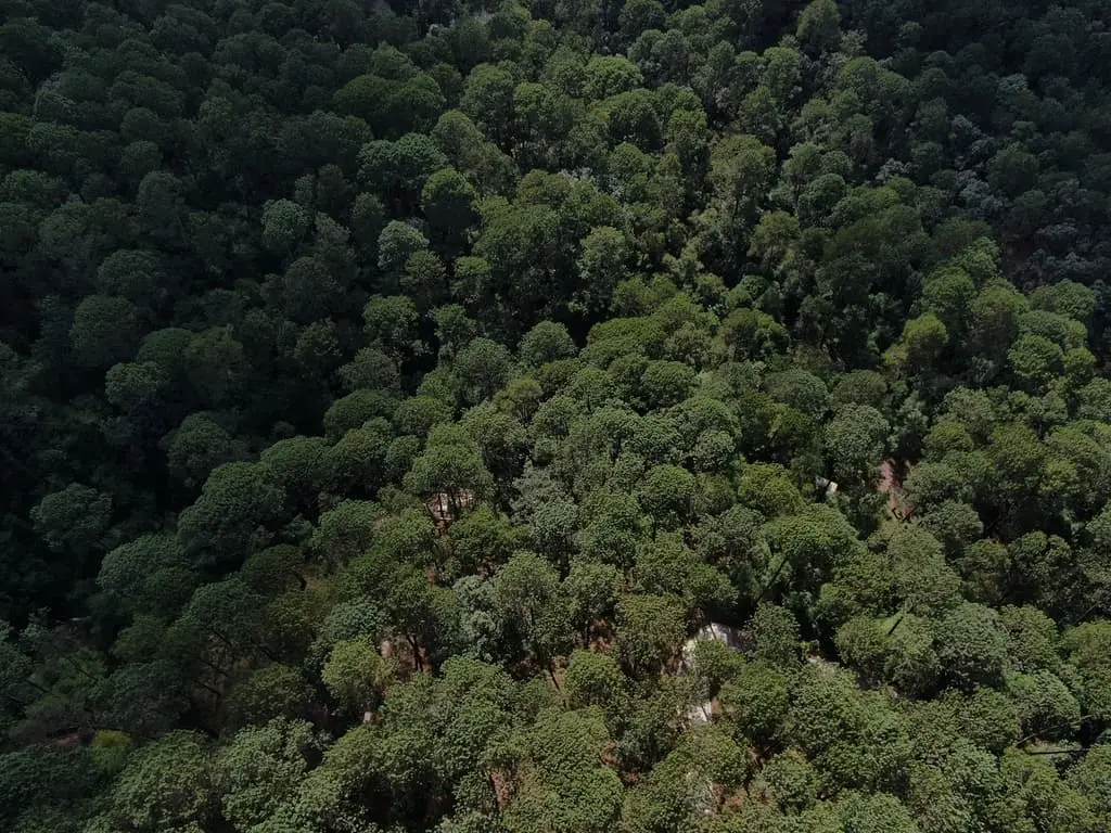 Terreno en venta en Cerro Gordo — foto 4