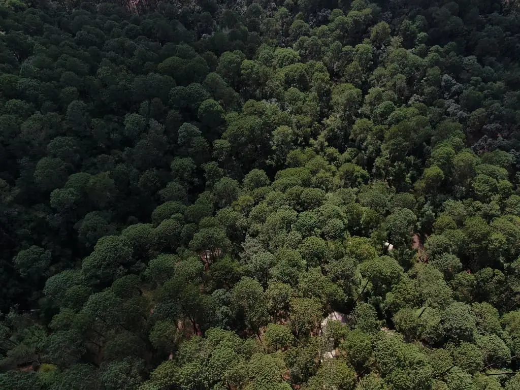 Terreno en venta en Cerro Gordo — foto 5