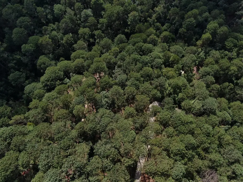 Terreno en venta en Cerro Gordo — foto 8