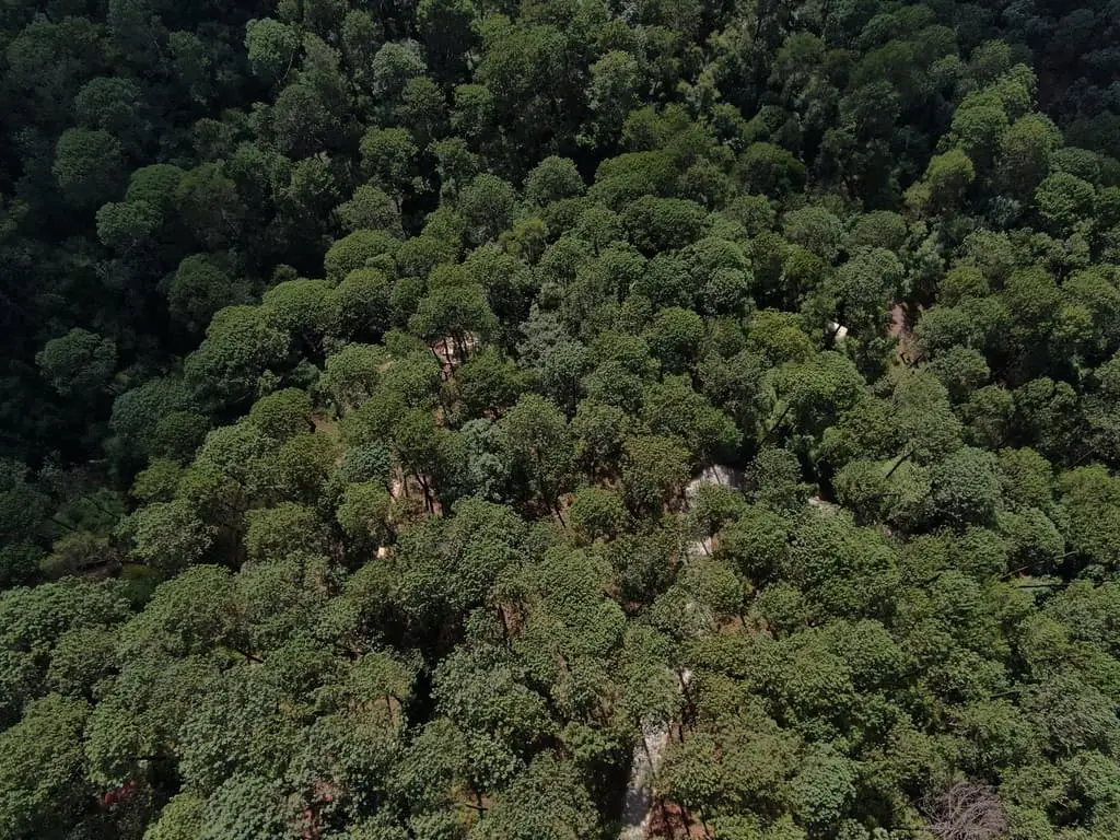 Terreno en venta en Cerro Gordo — foto 9