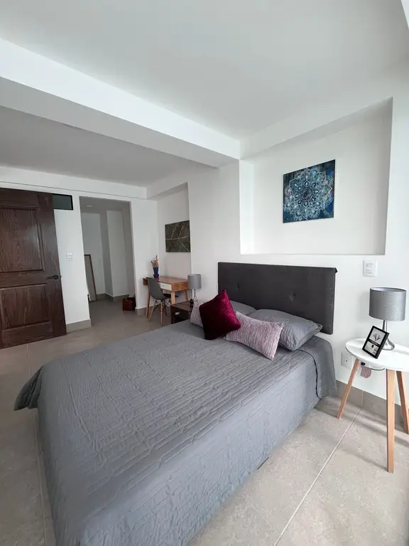 Departamento en Venta Colonia Obrera — foto 8