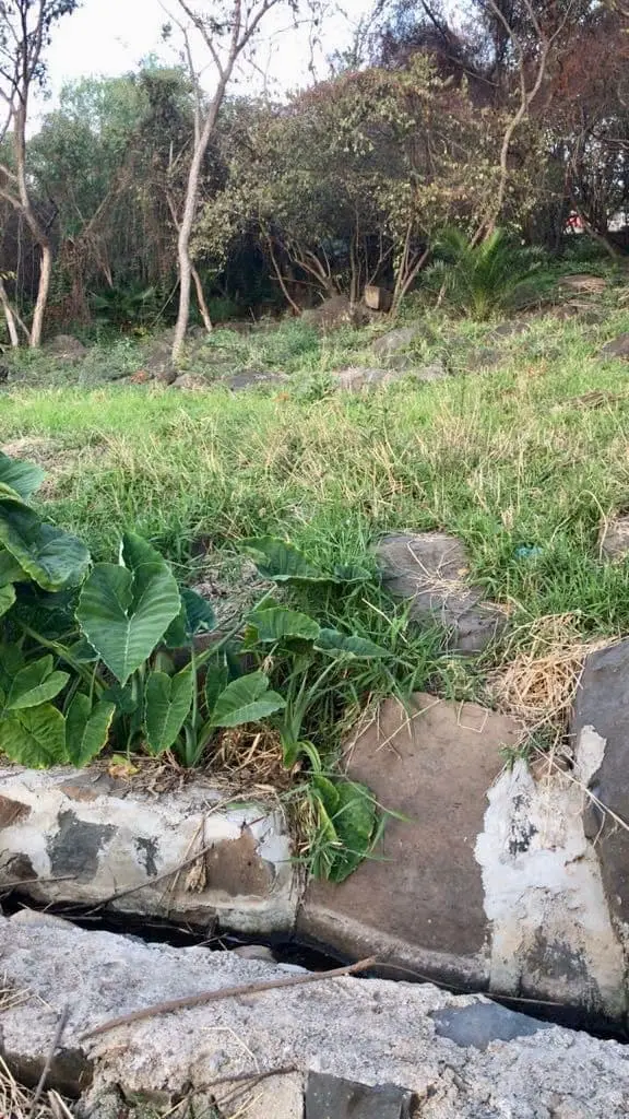 Terreno en Venta, Club Nautico Puente Viejo — foto 6