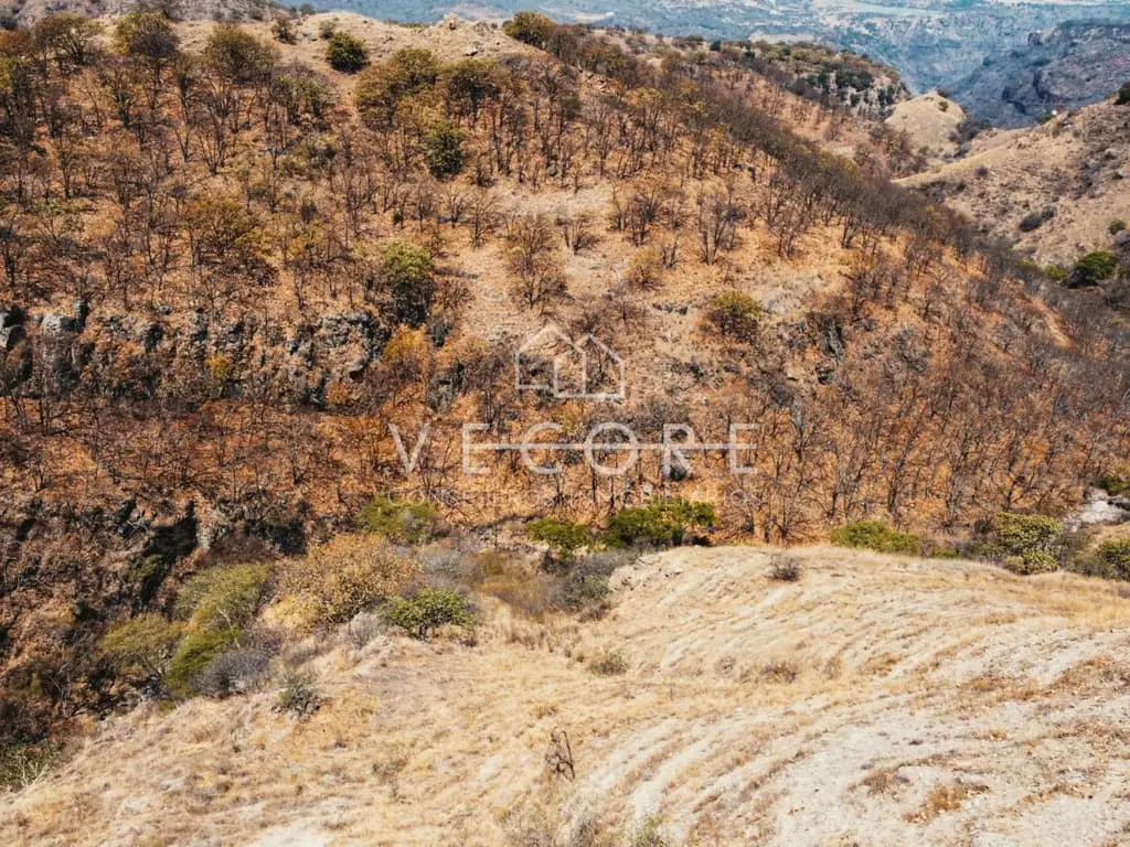 Terreno en Venta en Santa Lucia, Zapopan — foto 12