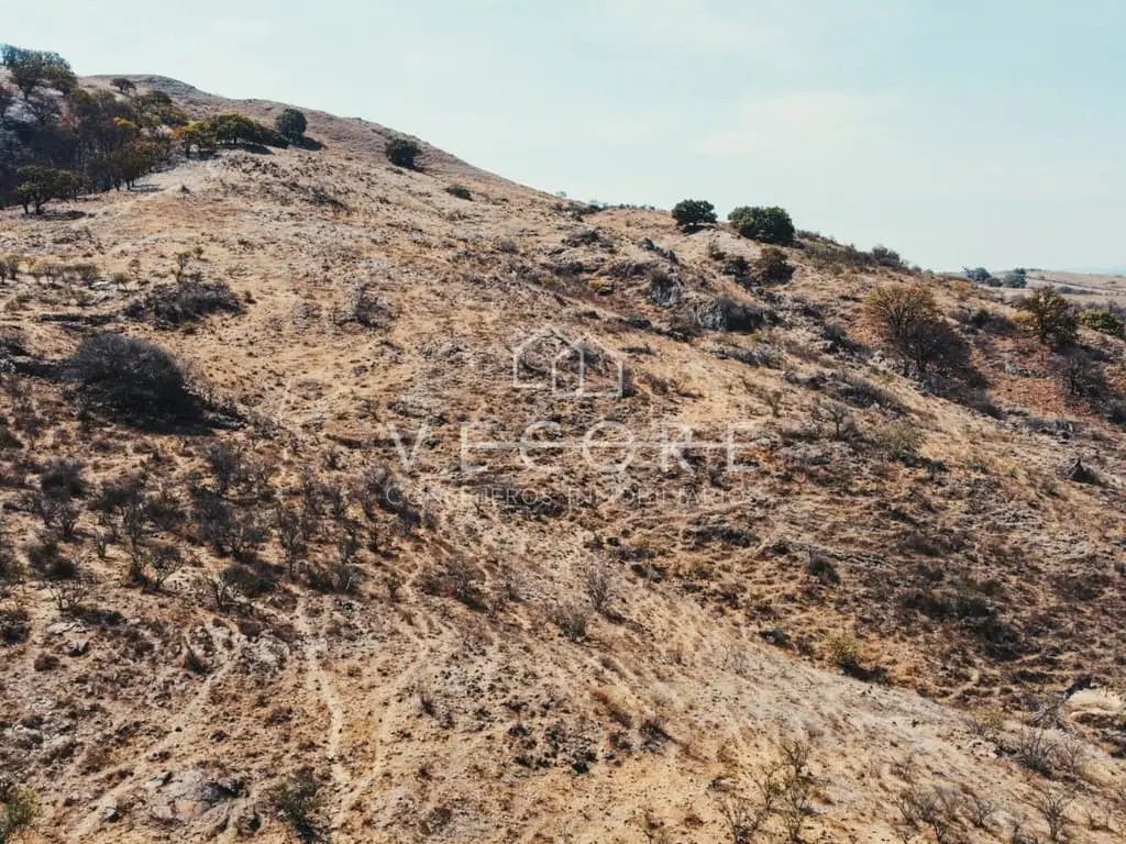 Terreno en Venta en Santa Lucia, Zapopan — foto 6