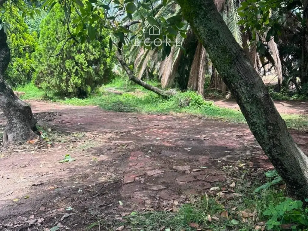 Terreno en Venta para Desarrollo de Coto Privado, Tonalá, Jalisco — foto 6
