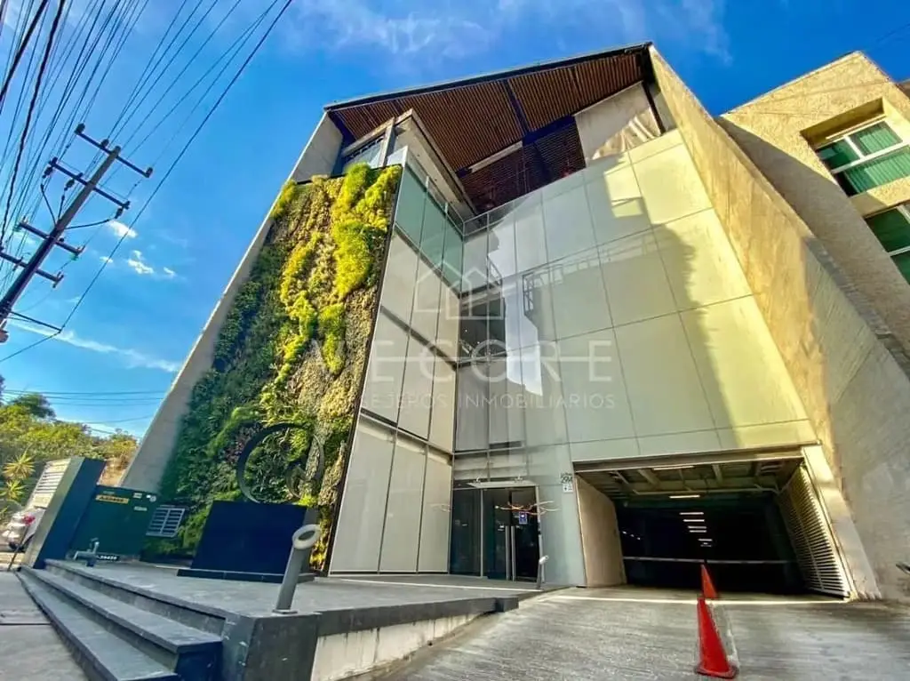Oficina en Renta en Colomos Providencia, Guadalajara