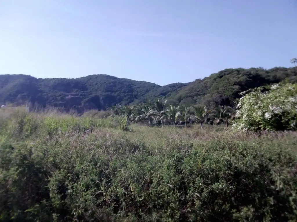 Terreno en Venta Fraccionamiento Aquarium en Manzanillo, Colima. — foto 4