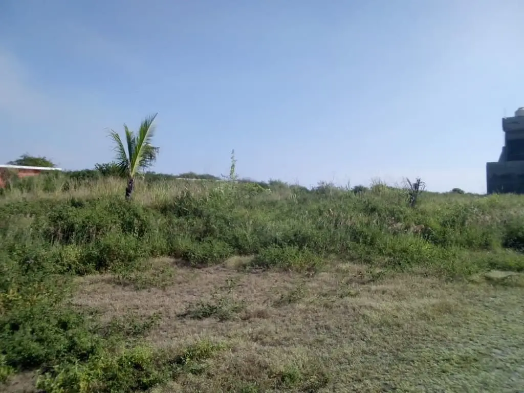 Terreno en Venta Fraccionamiento Aquarium en Manzanillo, Colima. — foto 8