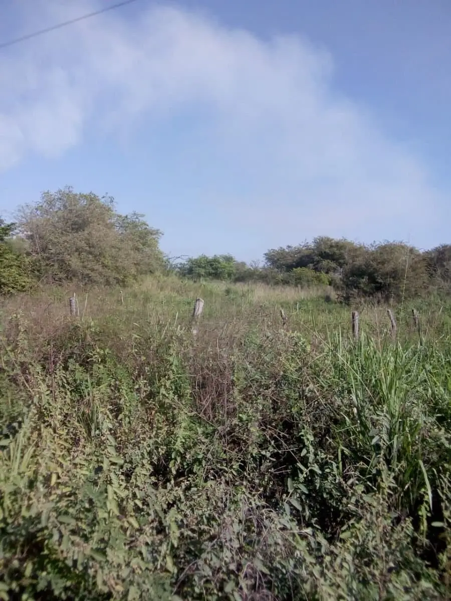 Terreno en Venta Fraccionamiento Aquarium en Manzanillo, Colima. — foto 9