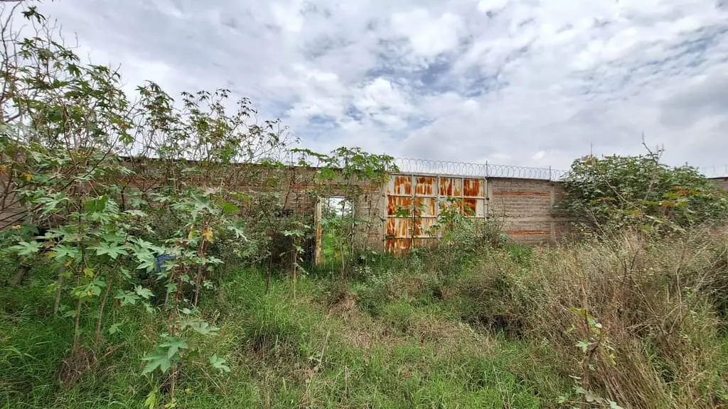 Terreno Bardeado de 441 M2( 21 X21) en Venta(Es Ejidal), en Santa Cruz del Astillero, Municipio de Arenal, Jalisco — foto 12