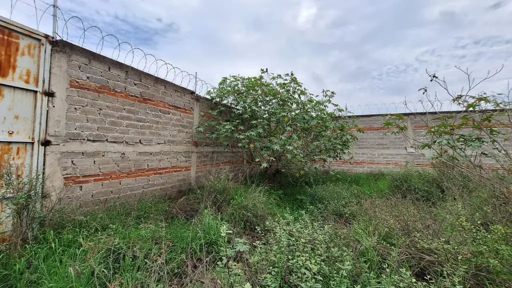 Terreno Bardeado de 441 M2( 21 X21) en Venta(Es Ejidal), en Santa Cruz del Astillero, Municipio de Arenal, Jalisco — foto 3