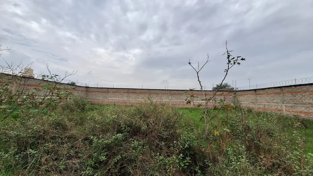 Terreno Bardeado de 441 M2( 21 X21) en Venta(Es Ejidal), en Santa Cruz del Astillero, Municipio de Arenal, Jalisco — foto 4