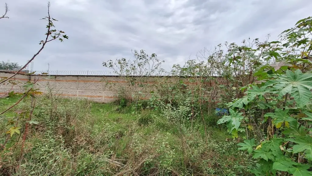 Terreno Bardeado de 441 M2( 21 X21) en Venta(Es Ejidal), en Santa Cruz del Astillero, Municipio de Arenal, Jalisco — foto 5