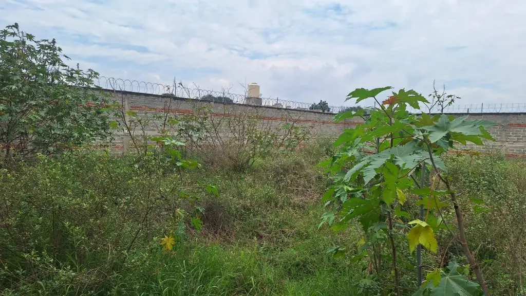 Terreno Bardeado de 441 M2( 21 X21) en Venta(Es Ejidal), en Santa Cruz del Astillero, Municipio de Arenal, Jalisco — foto 7
