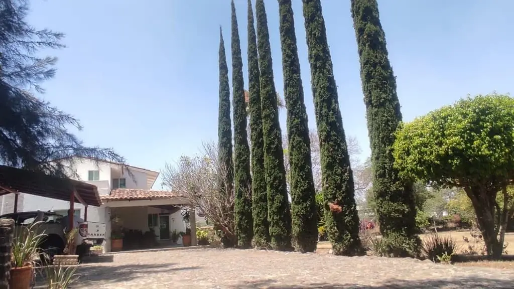 Casa en Venta en Jocotepec — foto 4