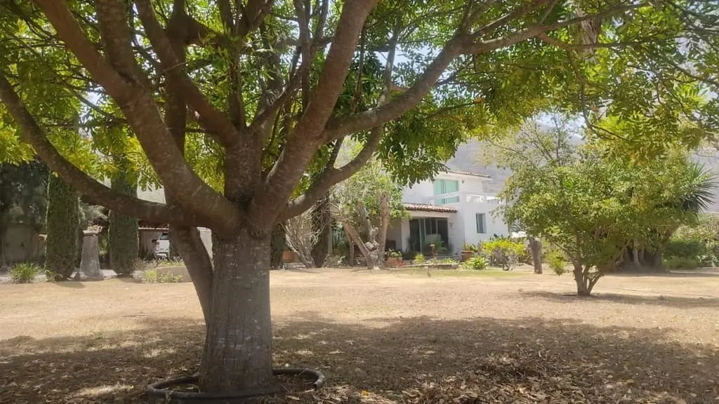 Casa en Venta en Jocotepec — foto 8