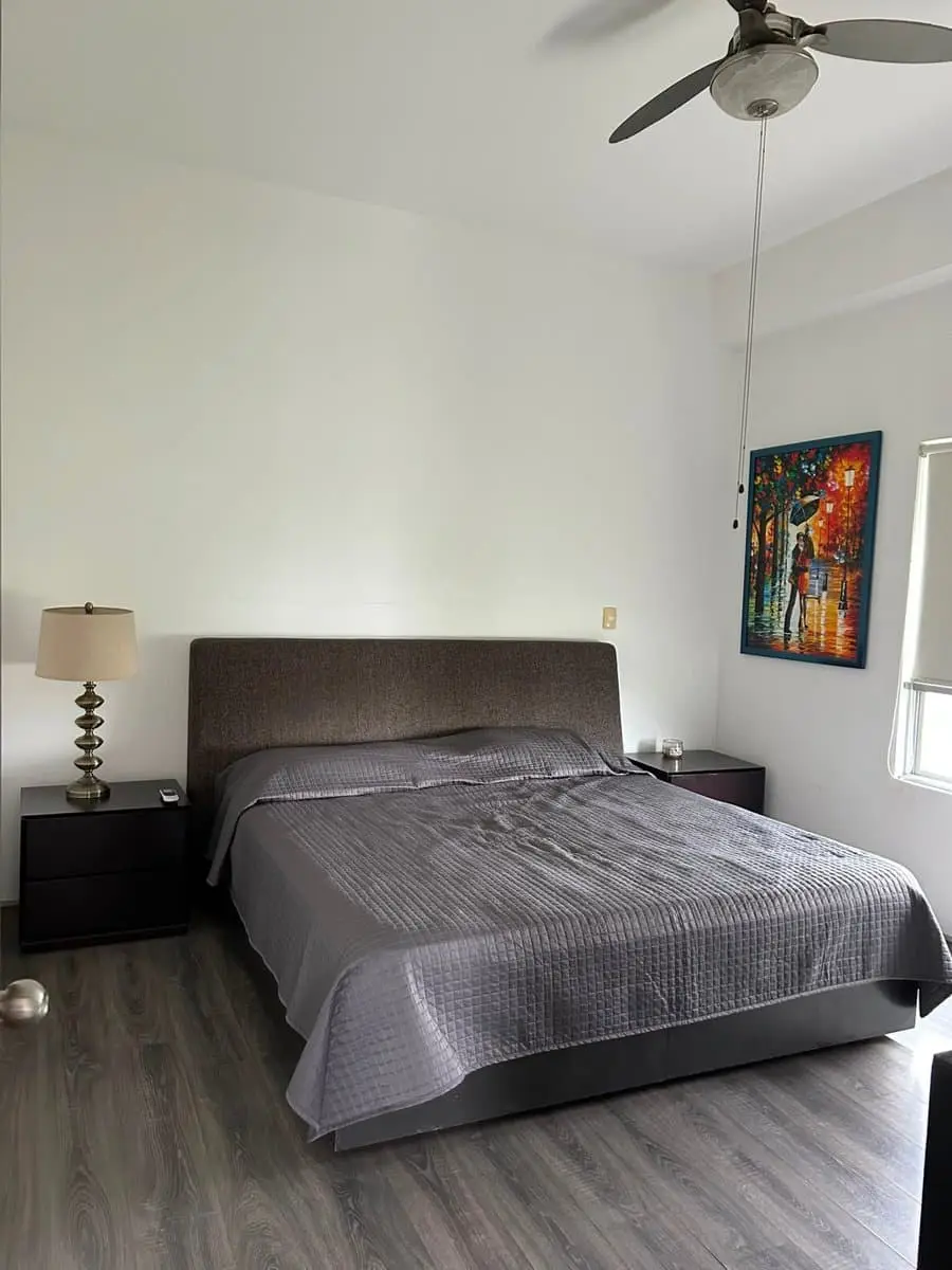 Departamento en Renta Eurotorre Anáhuac, San Nicolás de los Garza — foto 5