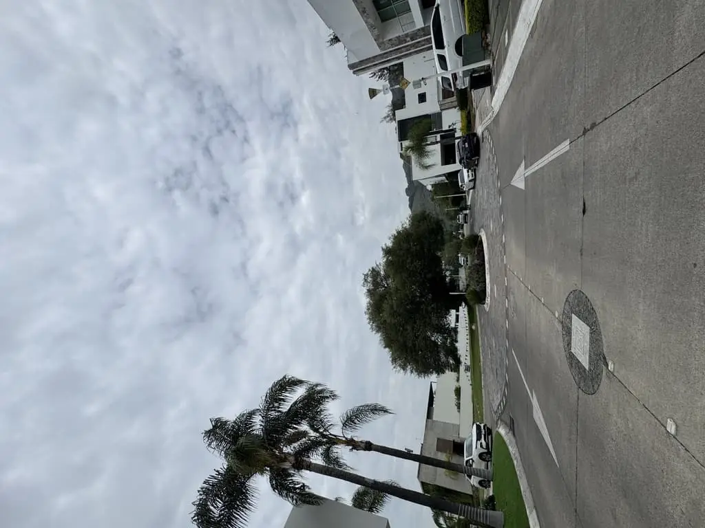 Terreno Venta Lago Nogal — foto 7