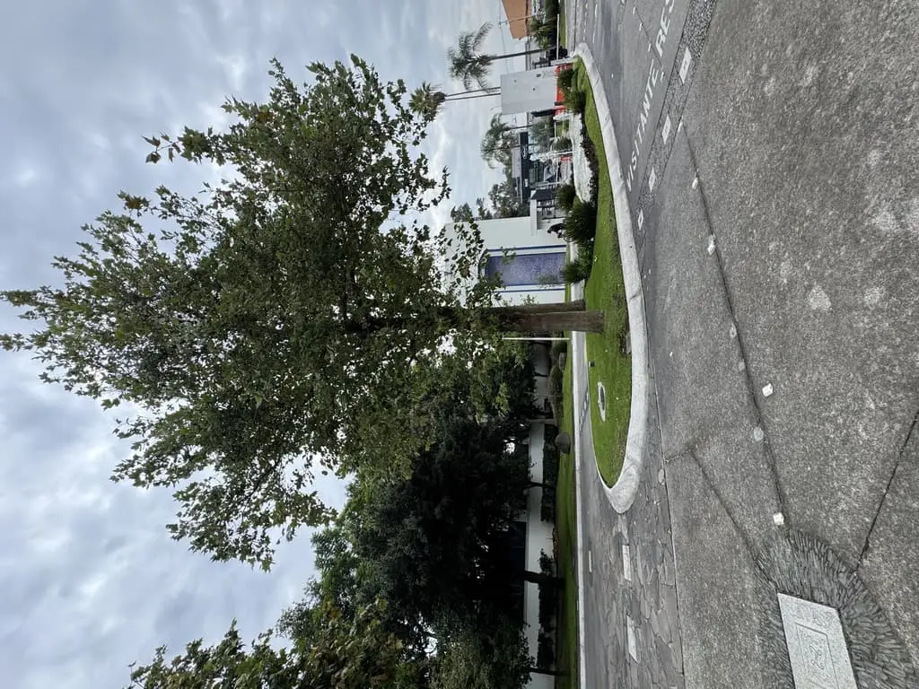Terreno Venta Lago Nogal — foto 9