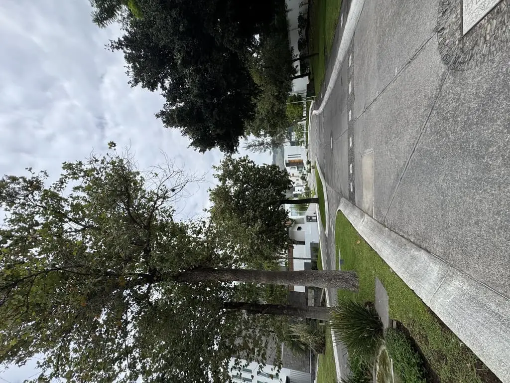 Terreno Venta Lago Nogal — foto 10