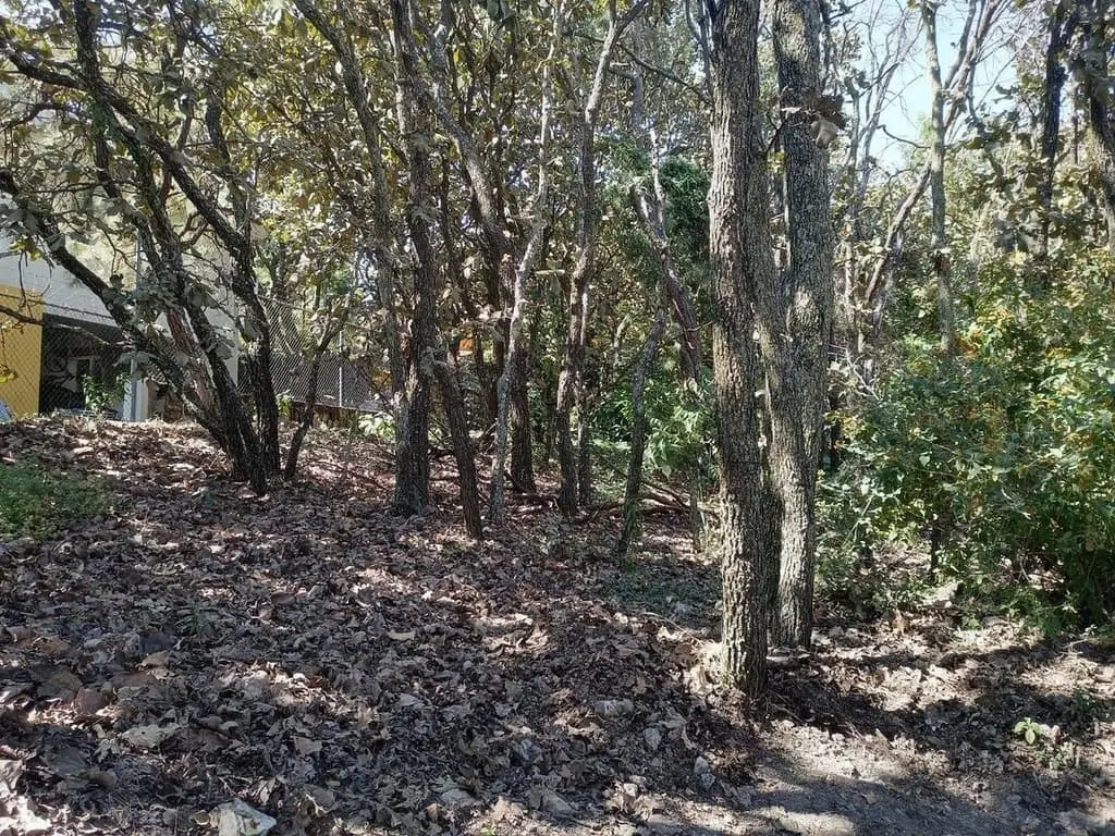 Terreno en Venta en el Palomar — foto 4