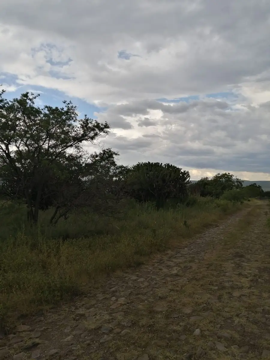 Terreno en Venta, Amazcala — foto 6