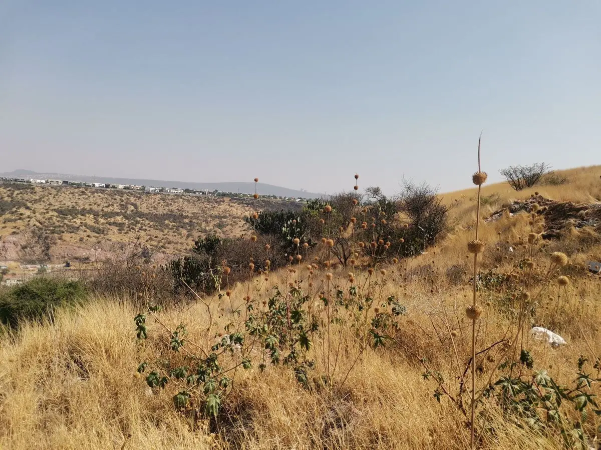 Terreno en Venta, Milenio III, Querétaro — foto 5