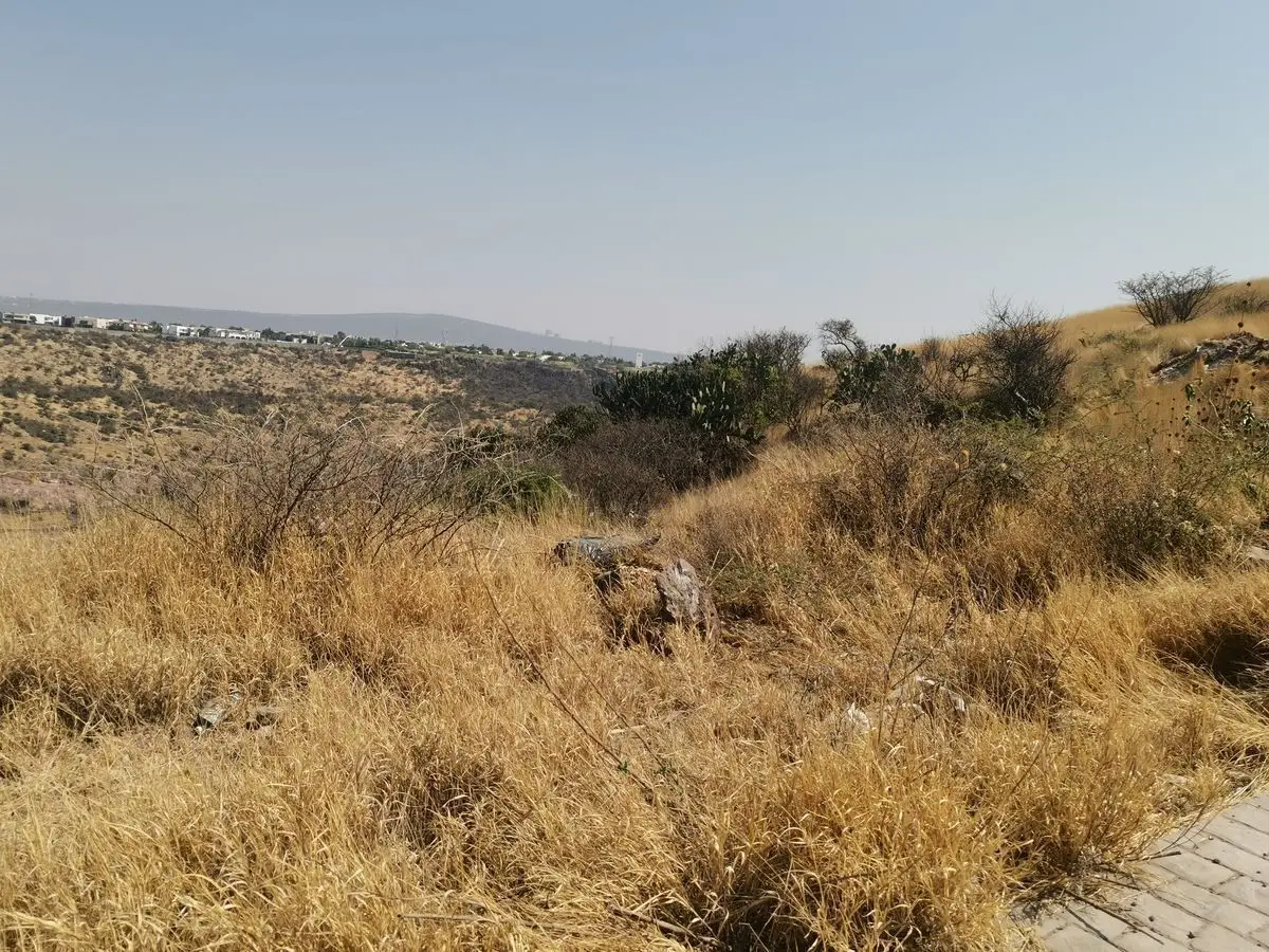 Terreno en Venta, Milenio III, Querétaro — foto 6