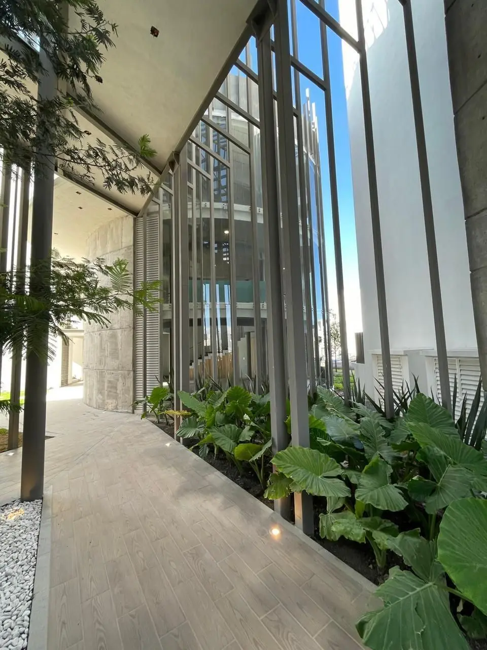 Venta departamento 3 Hab en Corregidora — foto 4