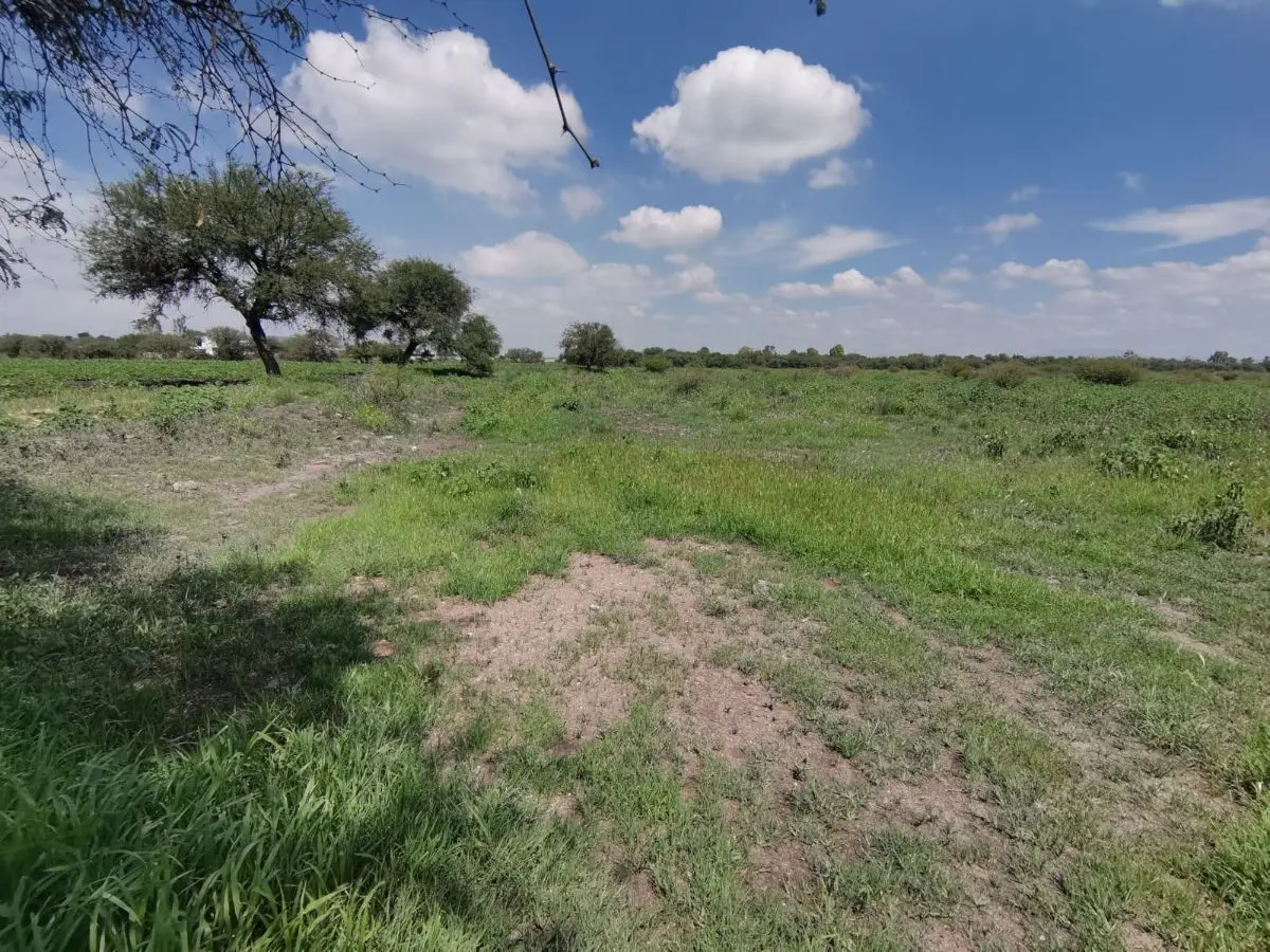 Terreno en venta en Pedro Escobedo — foto 2
